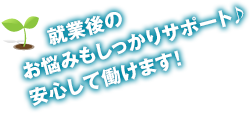 就業後のお悩みもしっかりサポート♪安心して働けます！